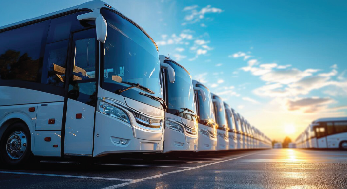 VIP Transportation